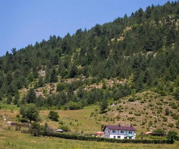 Villa иглика Yagodina